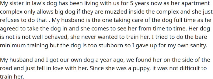 OP has been caring for her sister-in-law's dog for five years now, as her SIL's apartment complex only allows big dogs if they are muzzled.