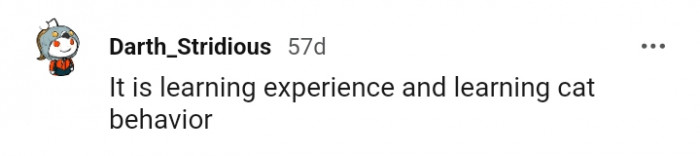 5. It's all about learning cat behavior