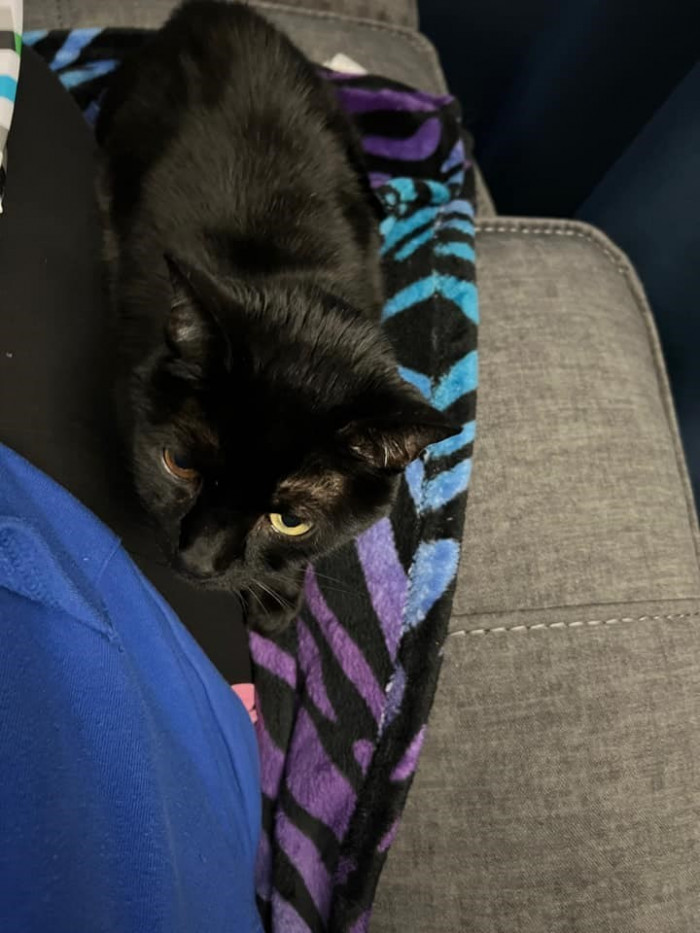 10. A quick decision