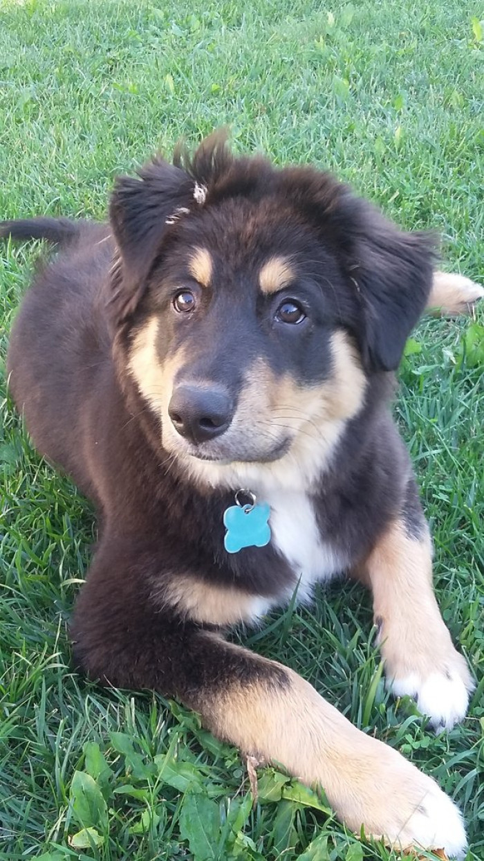 10. "Just look at that face!"