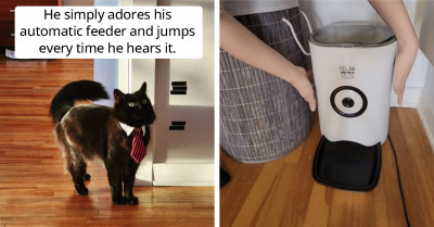 This Is What True Love Looks Like – This Cat Absolutely Adores His Automatic Feeder