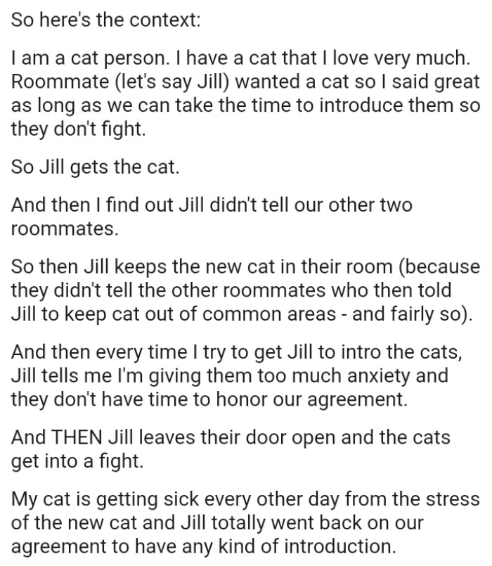 OP's Cat Is Getting Sick Every Other Day from the Stress of the New Cat
