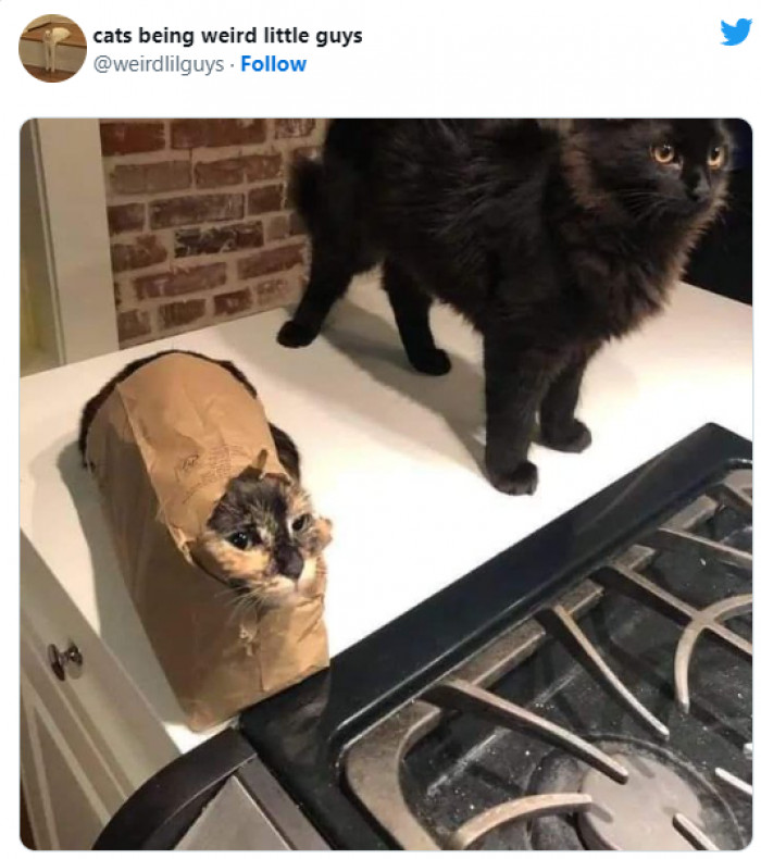 16. Such a comfy bag...