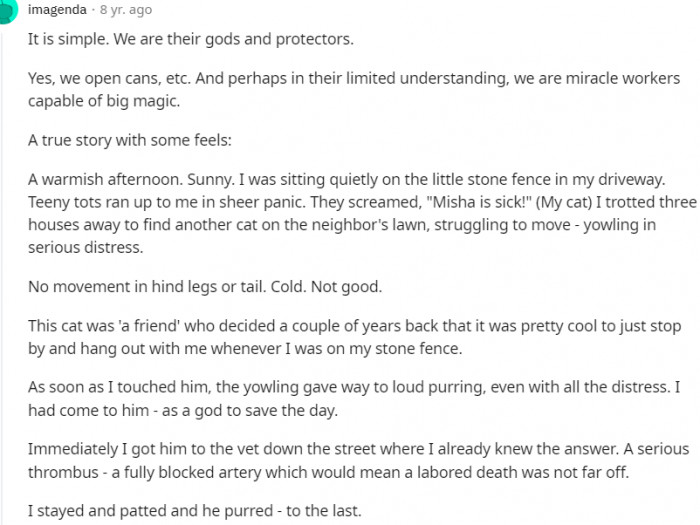 12. Here is a true story with some feels