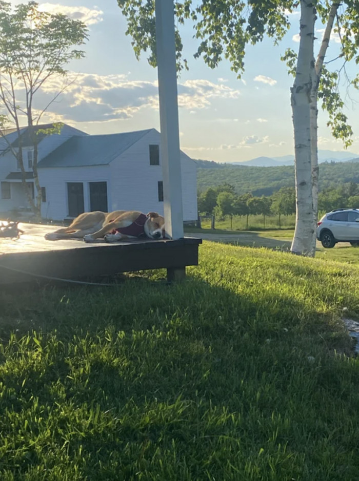 "...and two years later"