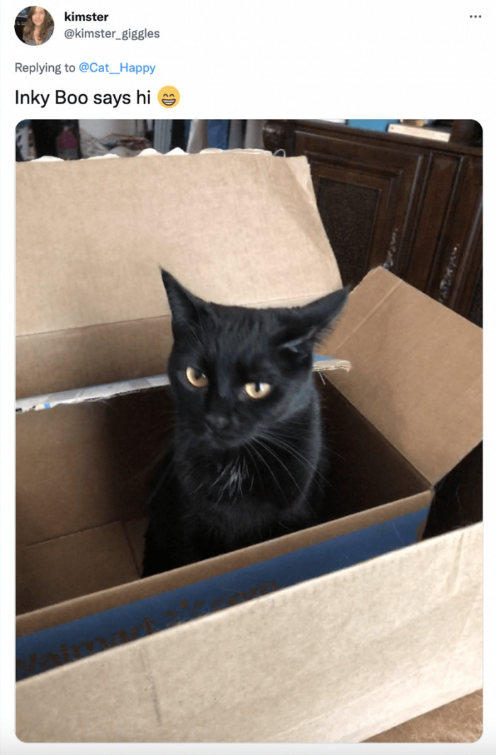 11. Say hello to Inky Boo. He looks upset.