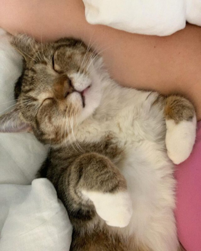 But Once Her Humans Found a Way to Approach Her