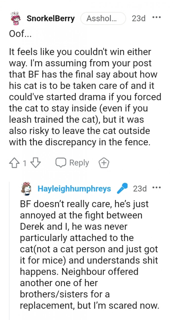 It is risky to leave the cat outside