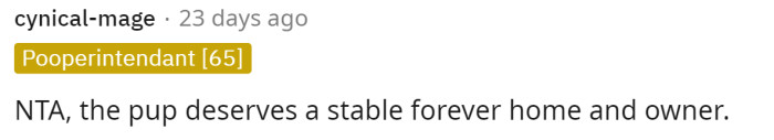The first comment states that OP is NTA and that the dog deserves a stable home.