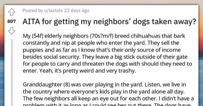 Protective Grandma Accidentally Stumbles Upon A Puppy Mill After Four Dogs Escaped And Attacked Her Granddaughter