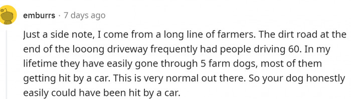 Farm dogs. No farm can be complete without one