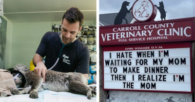 Everyone’s Cracking Up Over This Vet’s Spot-On and Funny Signs About Animals