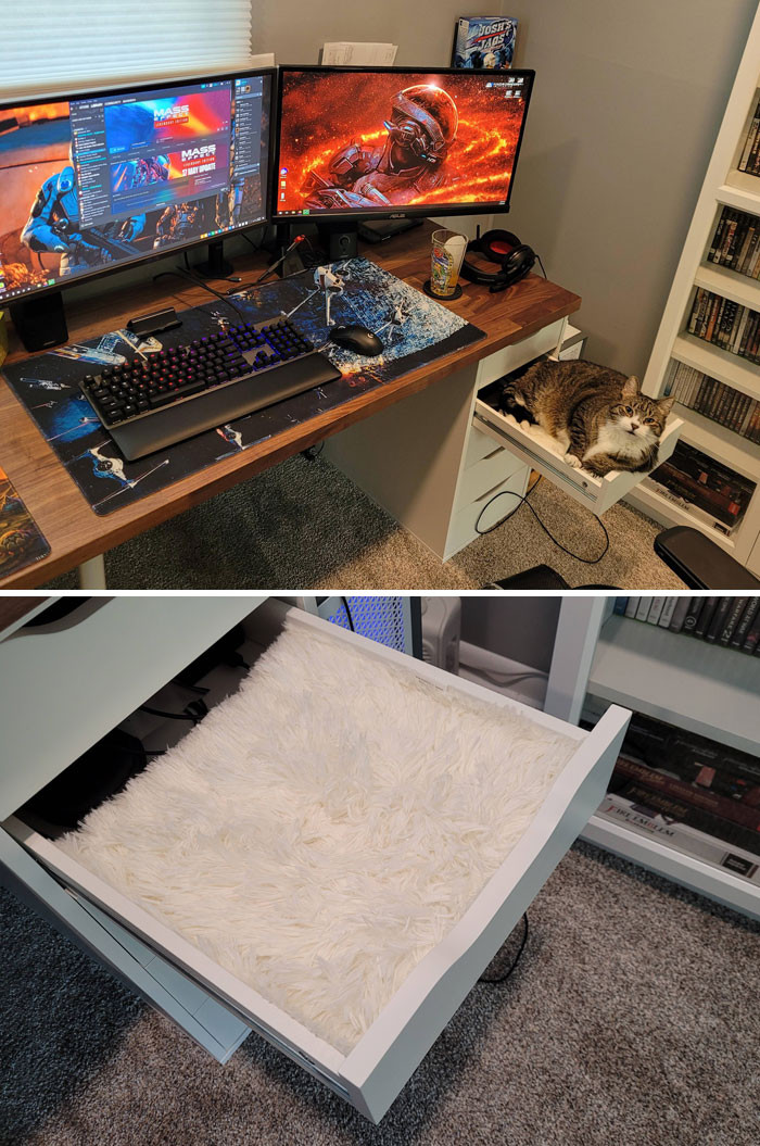 4. How to keep the cat off the desk? Make them their own drawer bed