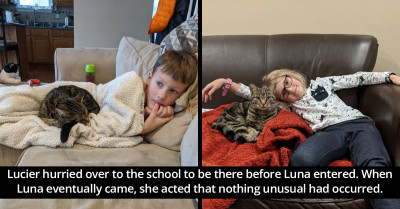 This Cat Loves Her Human Kids So Much She Won't Stop Trying To Break Into Their School To Be With Them