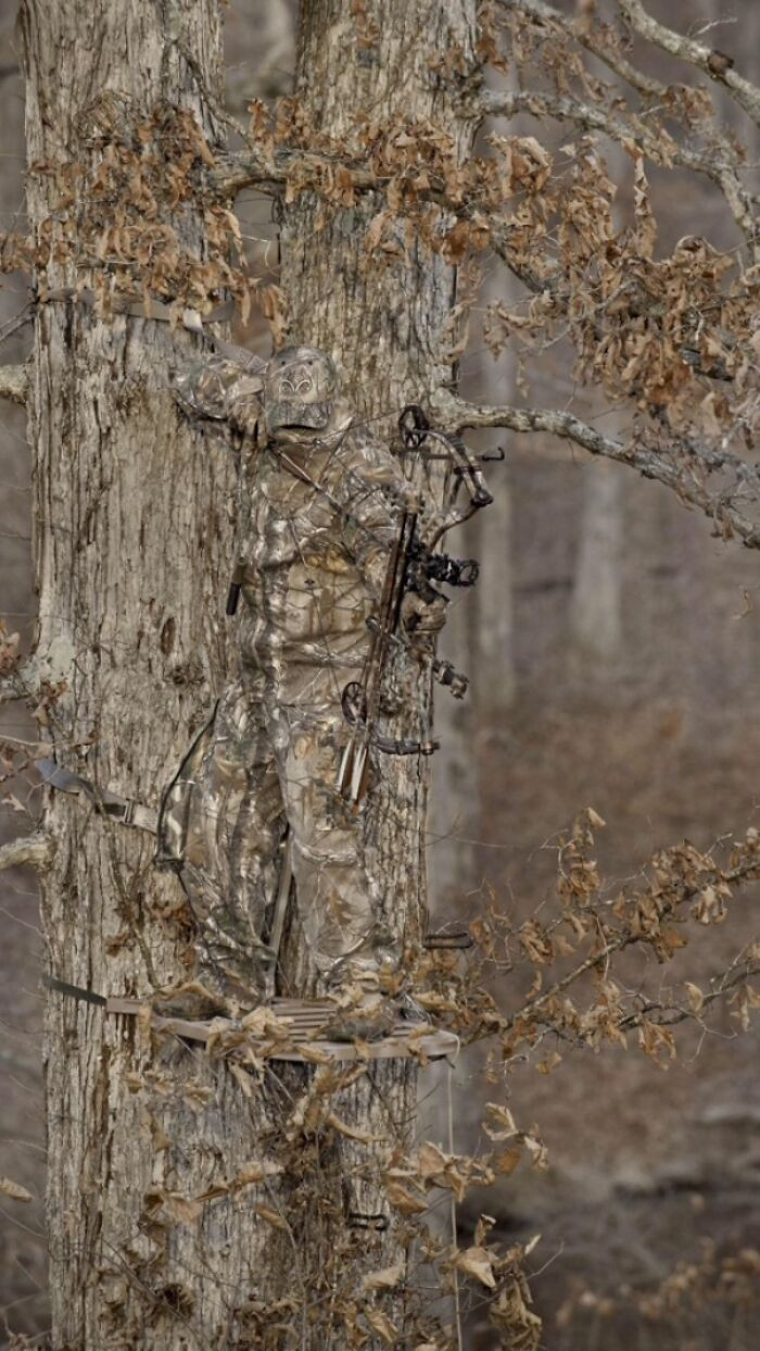 Online Group Shares 40 Perfectly Camouflaged Pictures That Will ...