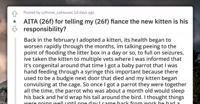Redditor Forced By Her Fiancé To Keep The Kitten He Gifted Her Tries To Find A Way Out