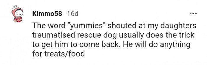 A dog who will do anything for treats and food