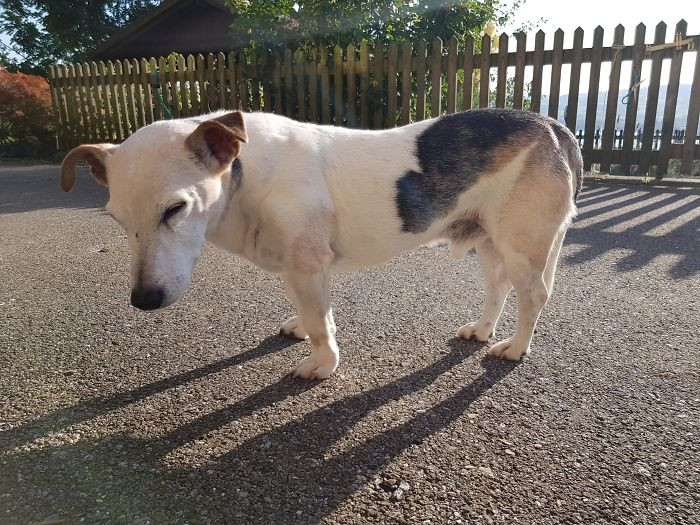 10. “I’m Elton And Today Is My 19th Birthday”