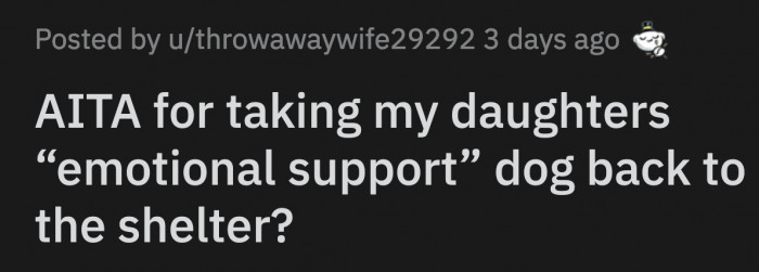 OP Finally Agreed but Made Sure She Was Getting a Low-Maintenance Dog