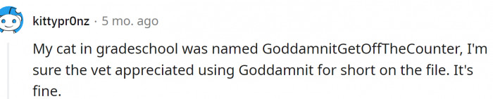 This is, in fact, a very common name for cats: