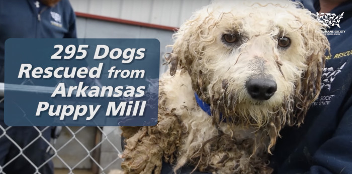 Daniel's story is unfortunately not a unique one