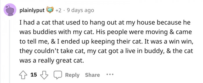 "Hey, our cats are friends."