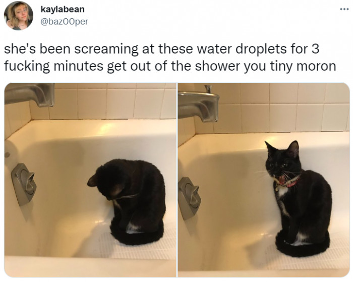 1. "Maaammyyy, something's dripping here, come see!"