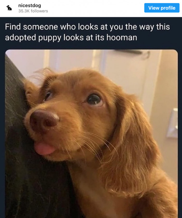 13. This is one of the best reasons why throwing a party for precious furballs is so worth it.