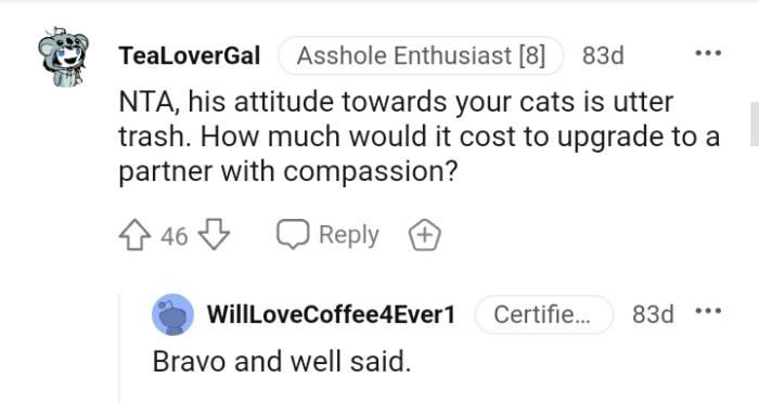 His attitude towards your cat is bad