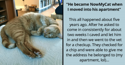 Meet These 10 Cats Who Did Not Give Their Owners Any Choice But To Adopt Them