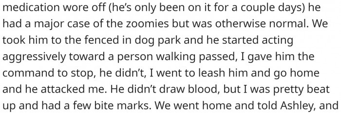 OP and Her Friend Took Him for a Walk. He Started Barking at Some Random Person. When OP Tried to Restrain Him, He Bit Her.