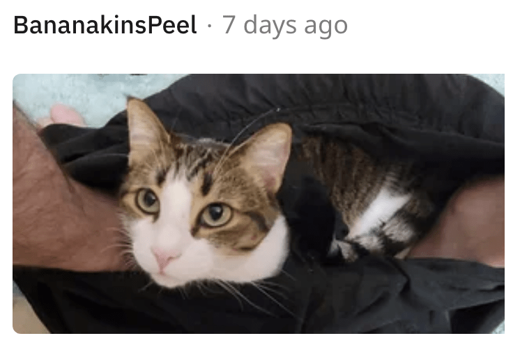 10. That's what you get for invading my space