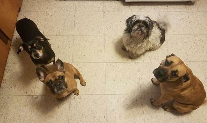 Introducing her to her new siblings.