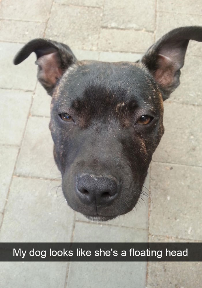 10. We can't decide if this is hilarious or scary