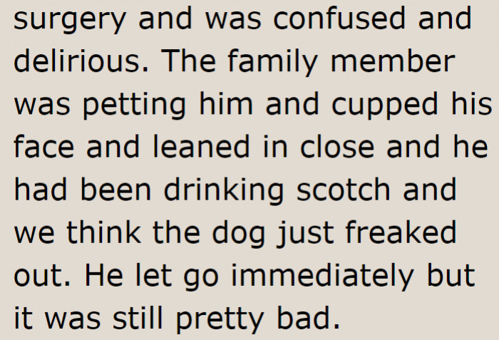 That's why it's best to just leave the dog at home.