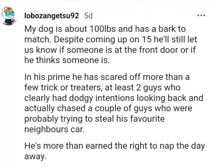 14. My dog has scared off more than a few trick-or-treaters