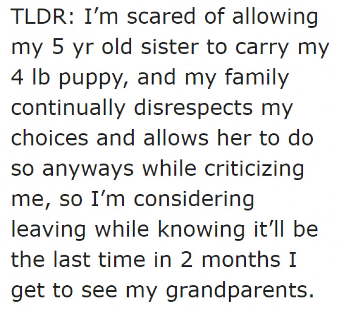 Her whole family isn't respecting the rules she set when it comes to handling her dog.