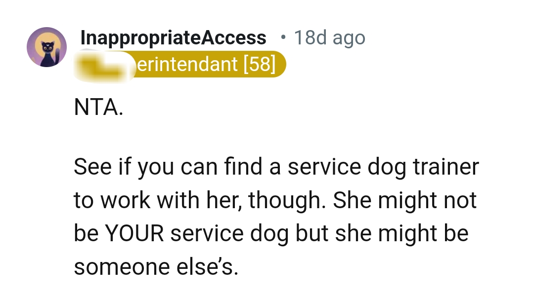 She might be someone else's service dog