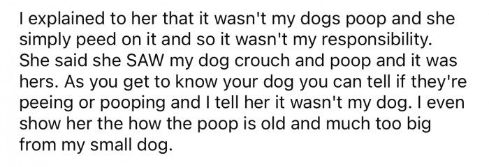 OP tried to explain what happened, but the woman wouldn't have any of it.