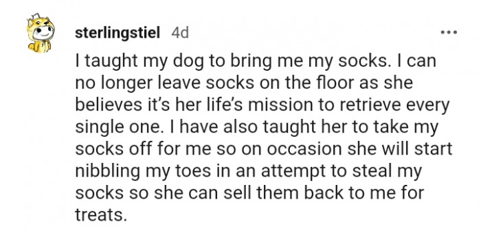 9. My dog retrieves every single sock