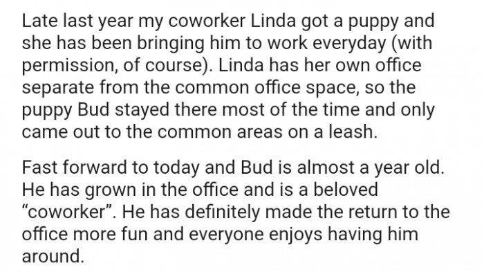 My coworker got a pup