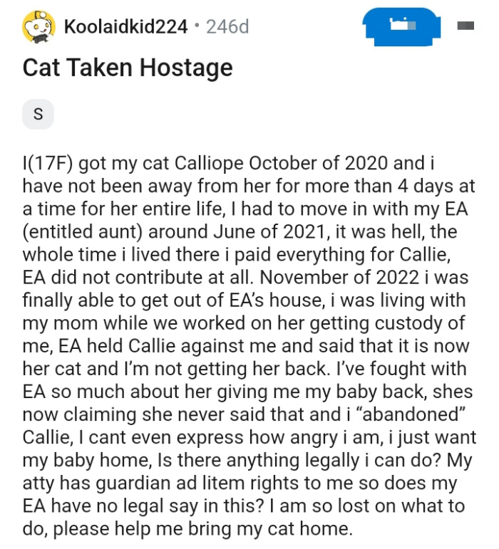 Entitled Aunt Holds OP's Cat and Claims It Is Now Hers; OP Is Not Getting Her Back
