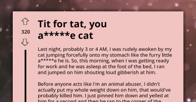 Annoyed Redditor Deals Playful Payback At Their Cat For Its 3 AM Wake-Up Call