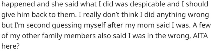 OP told her mom what happened, but her mother thought that what she did was despicable and that she should give the dog back to the neighbors.