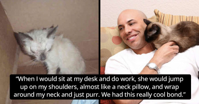 Tinny Kitten Was About To Be Put Down But One Vet Saved Her – She Paid Him Back By Completely Changing His Life