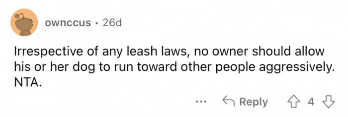Pet owner consulting a professional trainer about managing an anxious dog’s fear