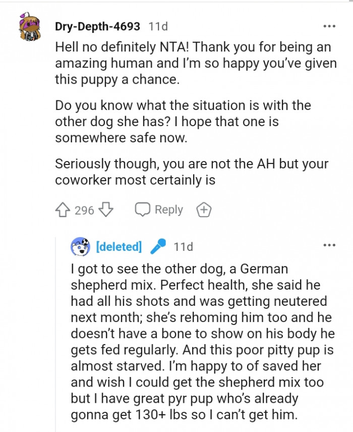 Do you know what the situation is with the other dog?