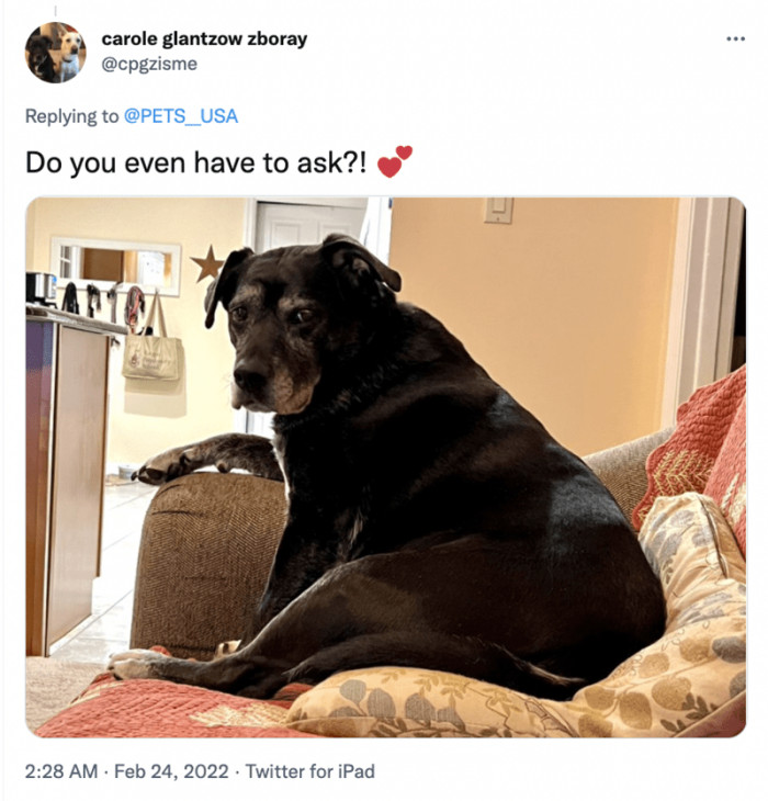 6. Sugar, spice, and everything cute