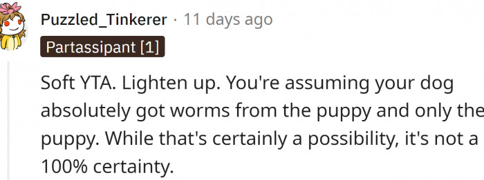 OP is assuming her dog absolutely got worms from the puppy and only the puppy.