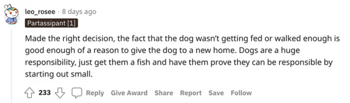 Dogs are a huge responsibility